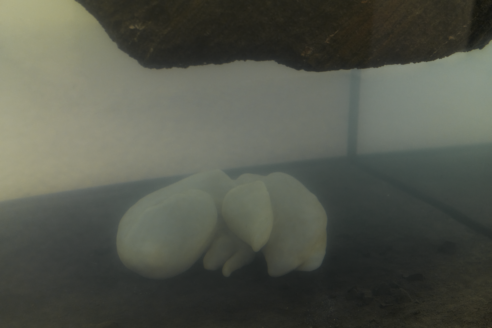 Architectural Archive 7 stue 2 Blok P online